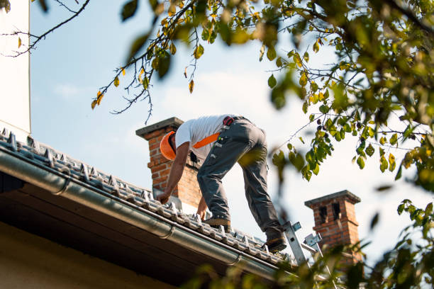 Best Storm Damage Roof Repair  in St Bernard, OH