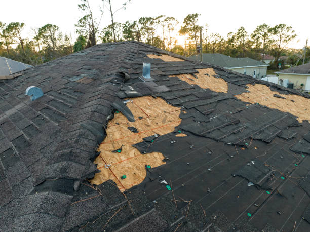 Best Sheet Metal Roofing  in St Bernard, OH