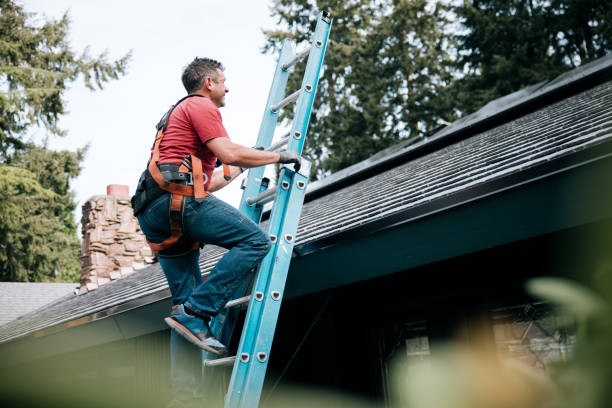 Best Gutter Installation and Repair  in St Bernard, OH